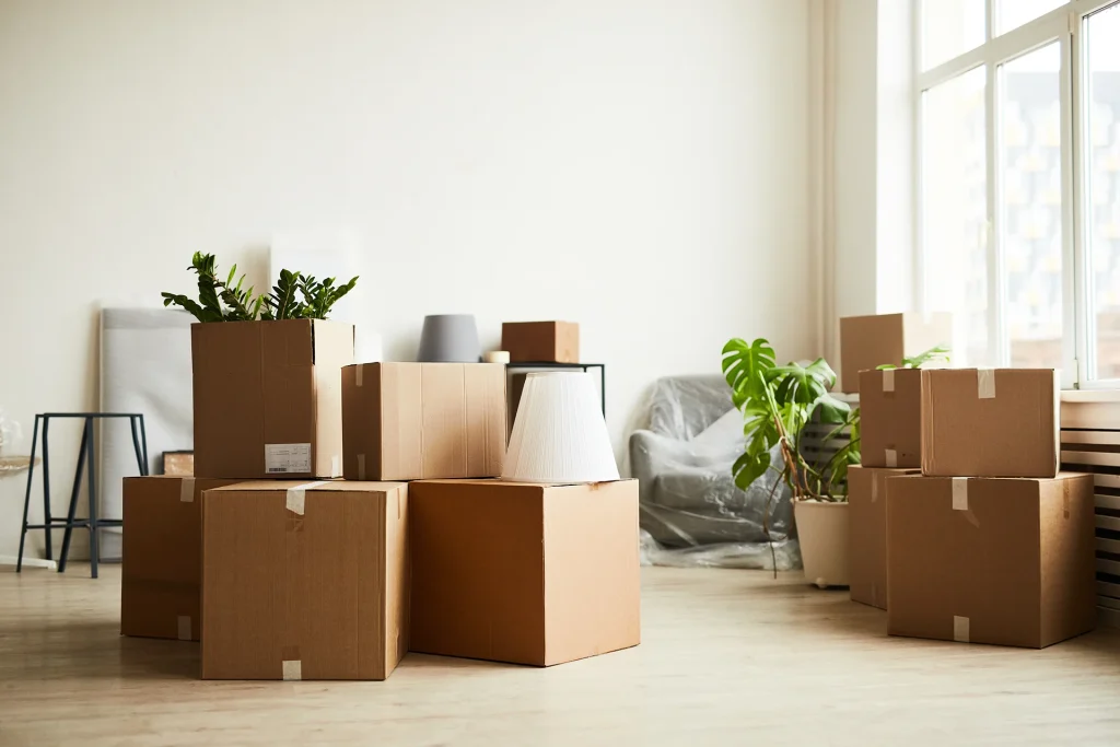 Cardboard Moving Boxes in Empty Room